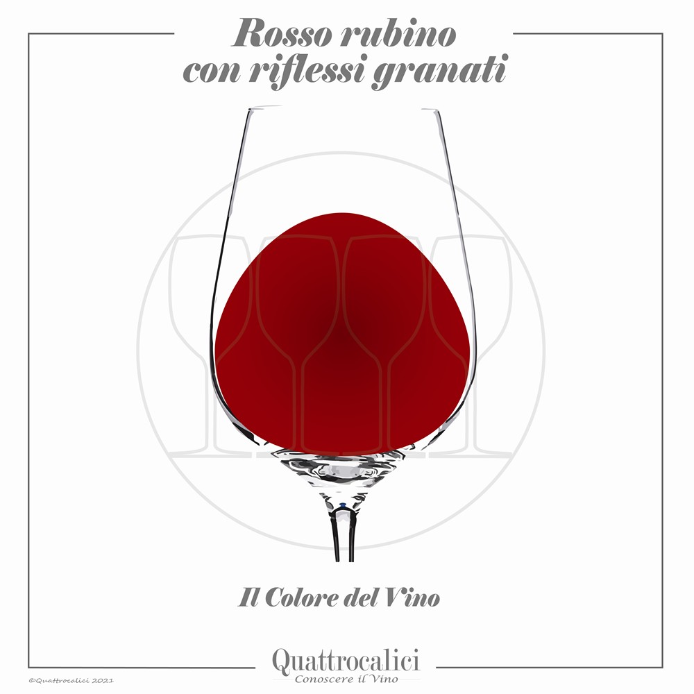 Vino rosso rubino con riflessi granati