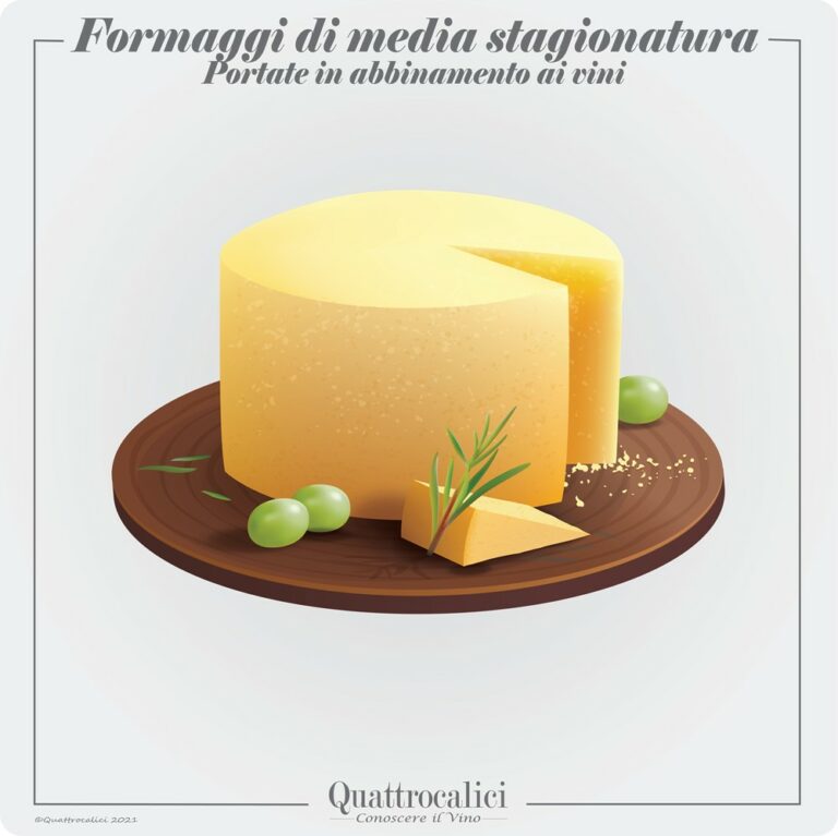 formaggi di media stagionatura e vini in abbinamento