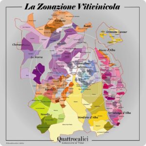 zonazione vitivinicola