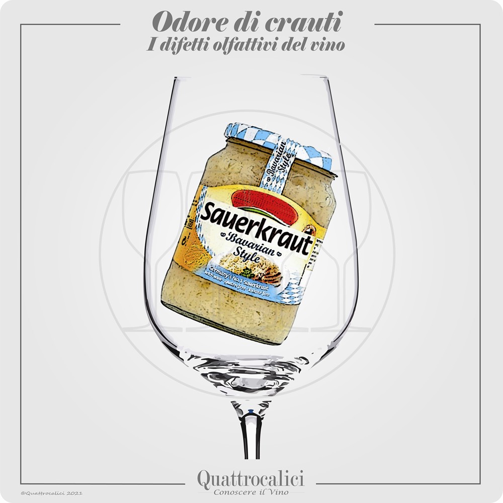 odore di crauti nel vino