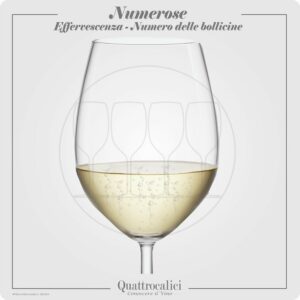 Vino con bollicine numerose