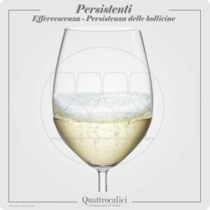 Vino con bollicine persistenti