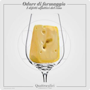 L'odore di formaggio nei vini