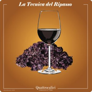 Valpolicella la tecnica del ripasso