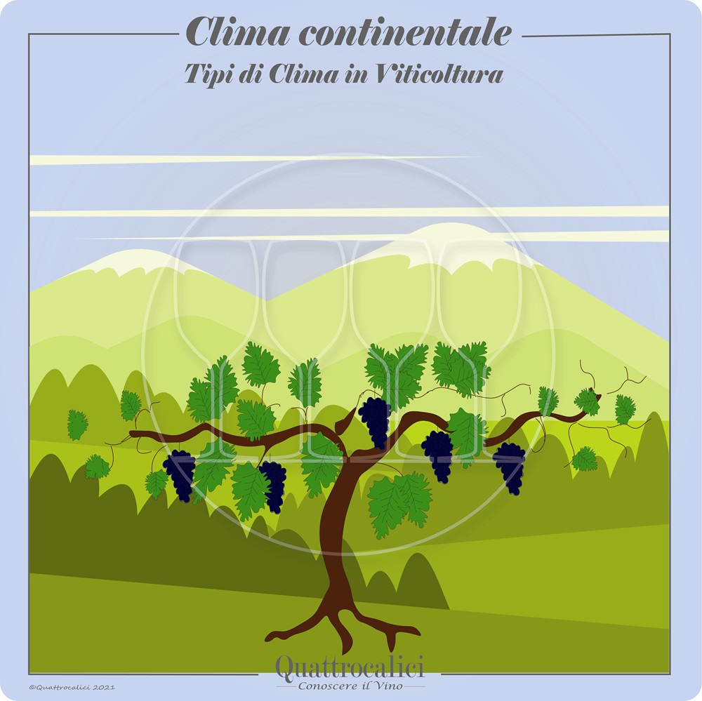 Il Clima continentale in viticoltura