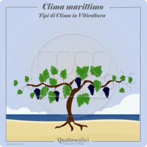 Il clima marittimo in viticoltura
