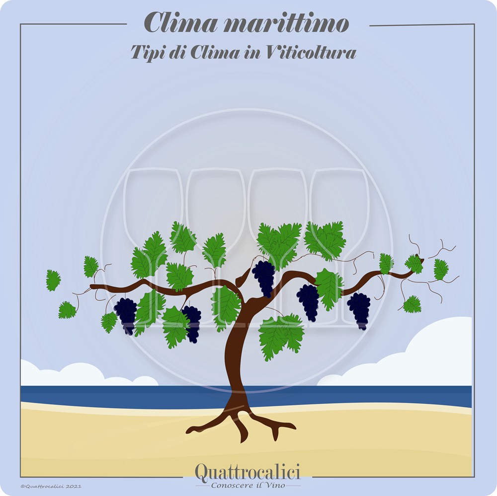 Il clima marittimo in viticoltura