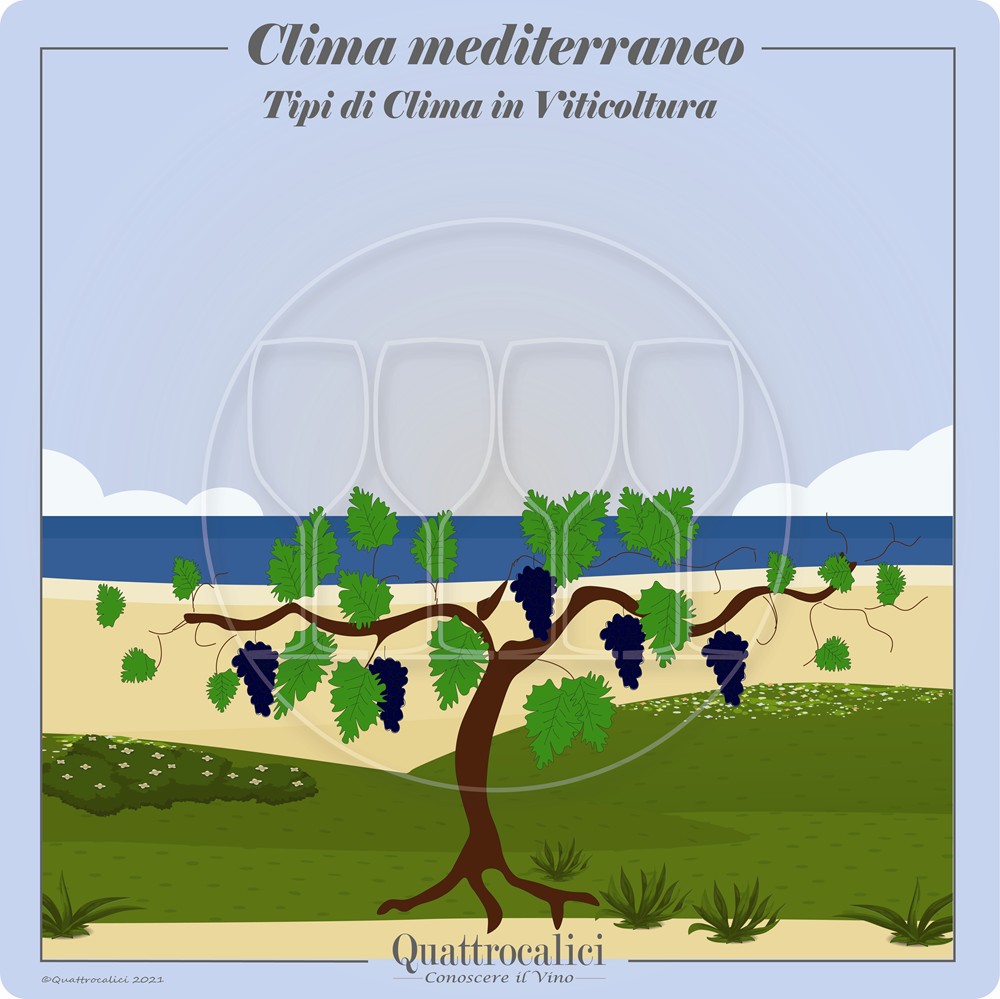 Il Clima mediterraneo in viticoltura