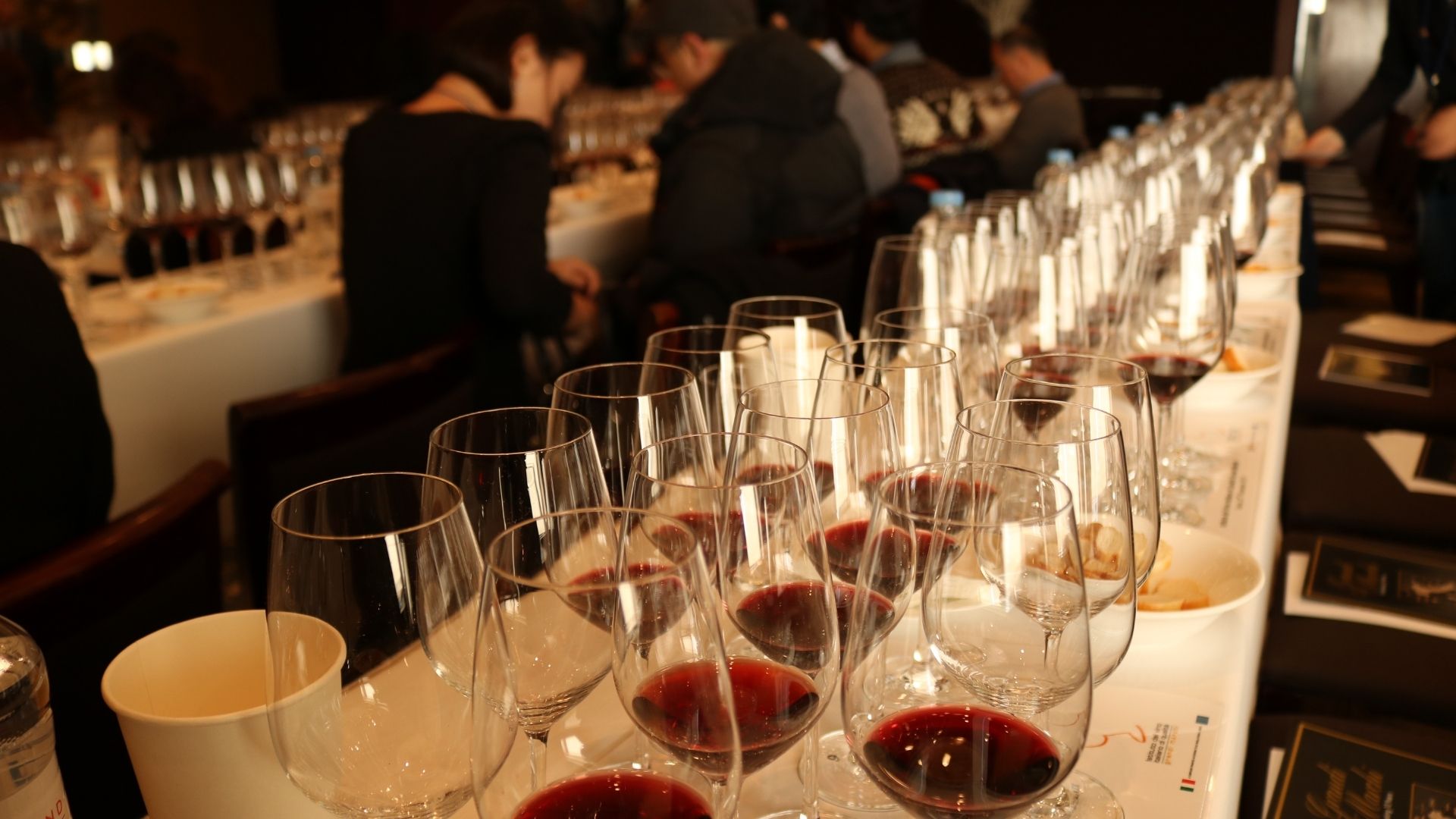 Corso degustazione vini Degustibuss