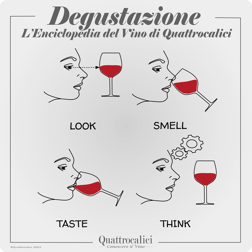 guida alla degustazione vini quattrocalici