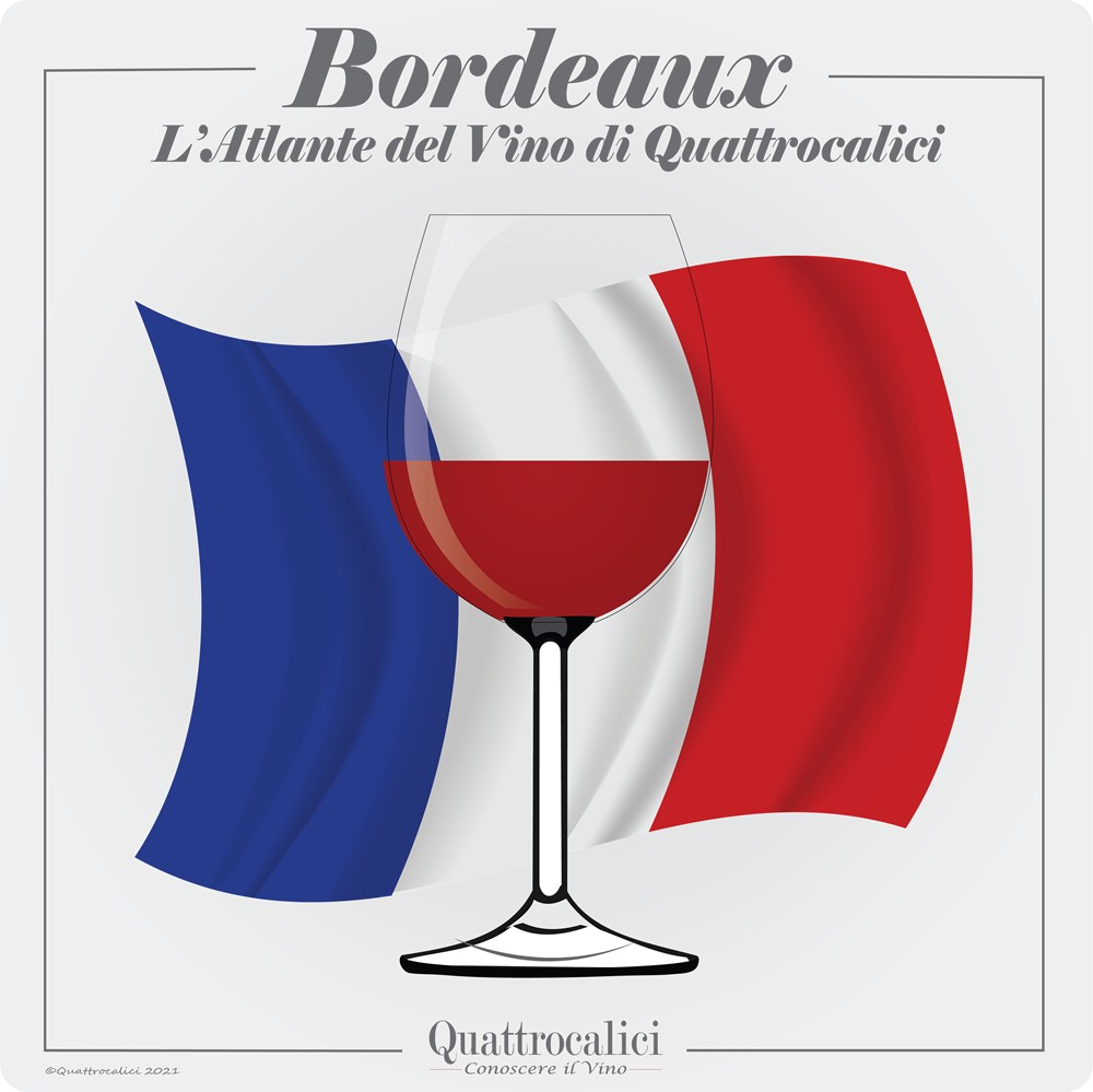 bordeaux vino quattrocalici