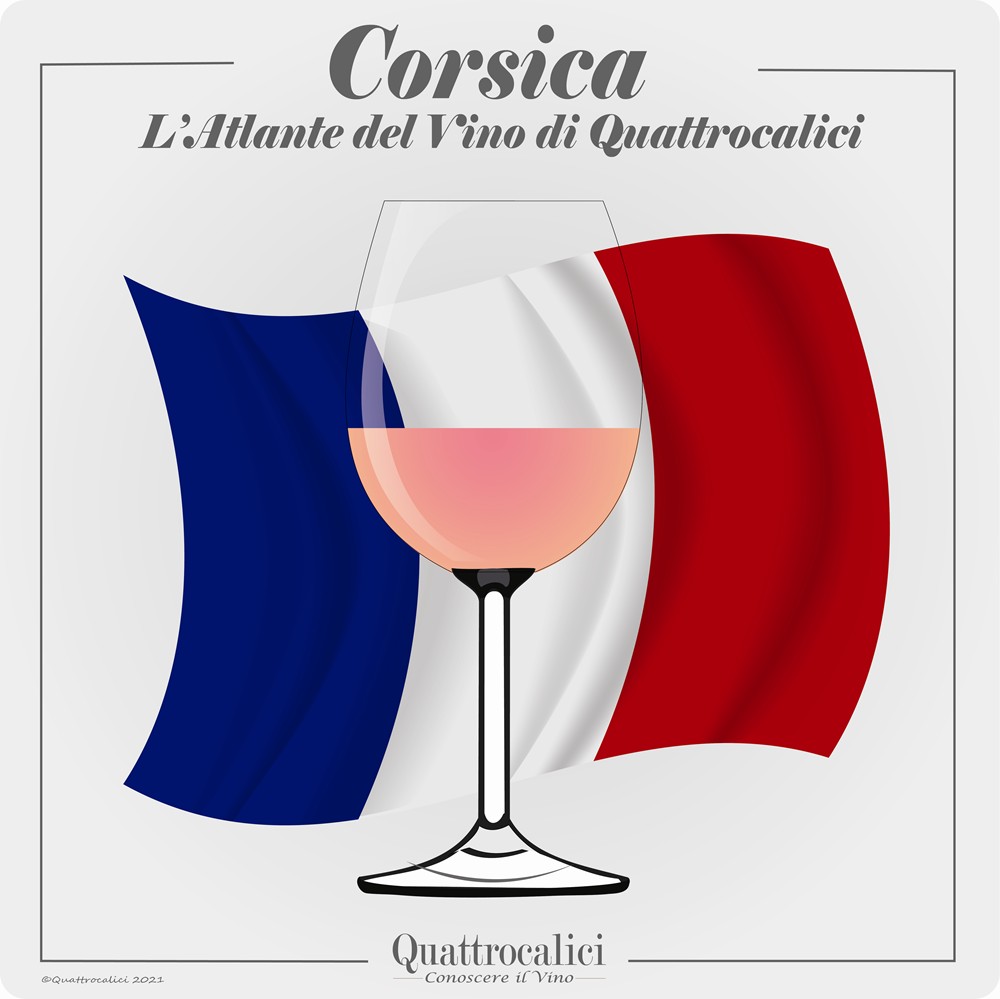 corsica vino quattrocalici