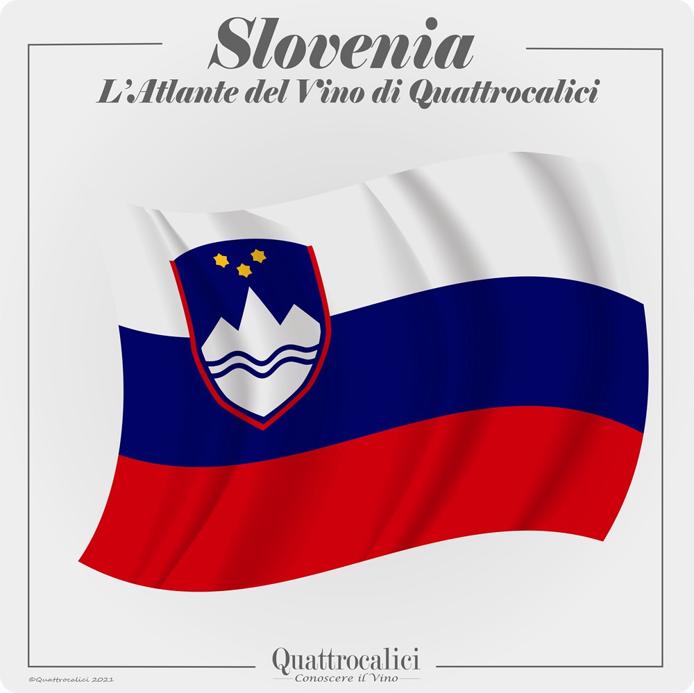 slovenia vino quattrocalici