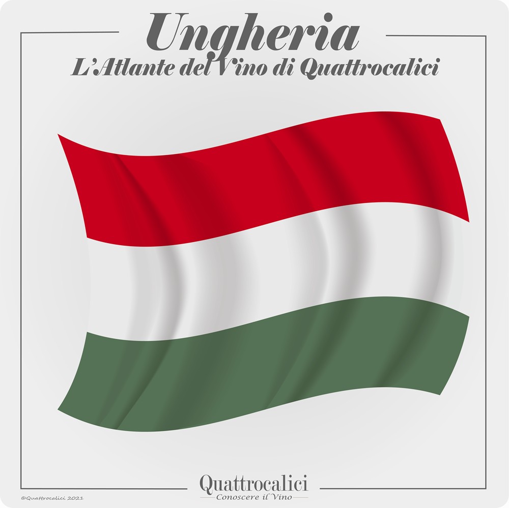 ungheria vino quattrocalici