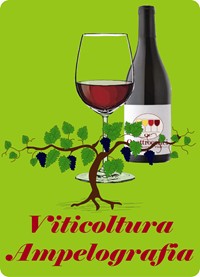 viticoltura ampelografia corso vino quattrocalici
