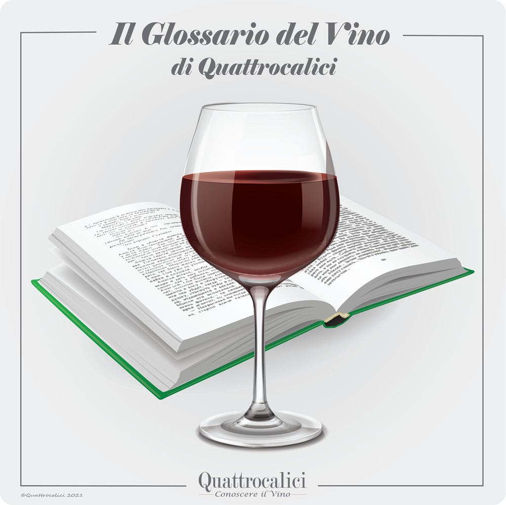 glossario del vino