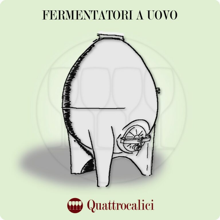 fermentatori a forma di uovo