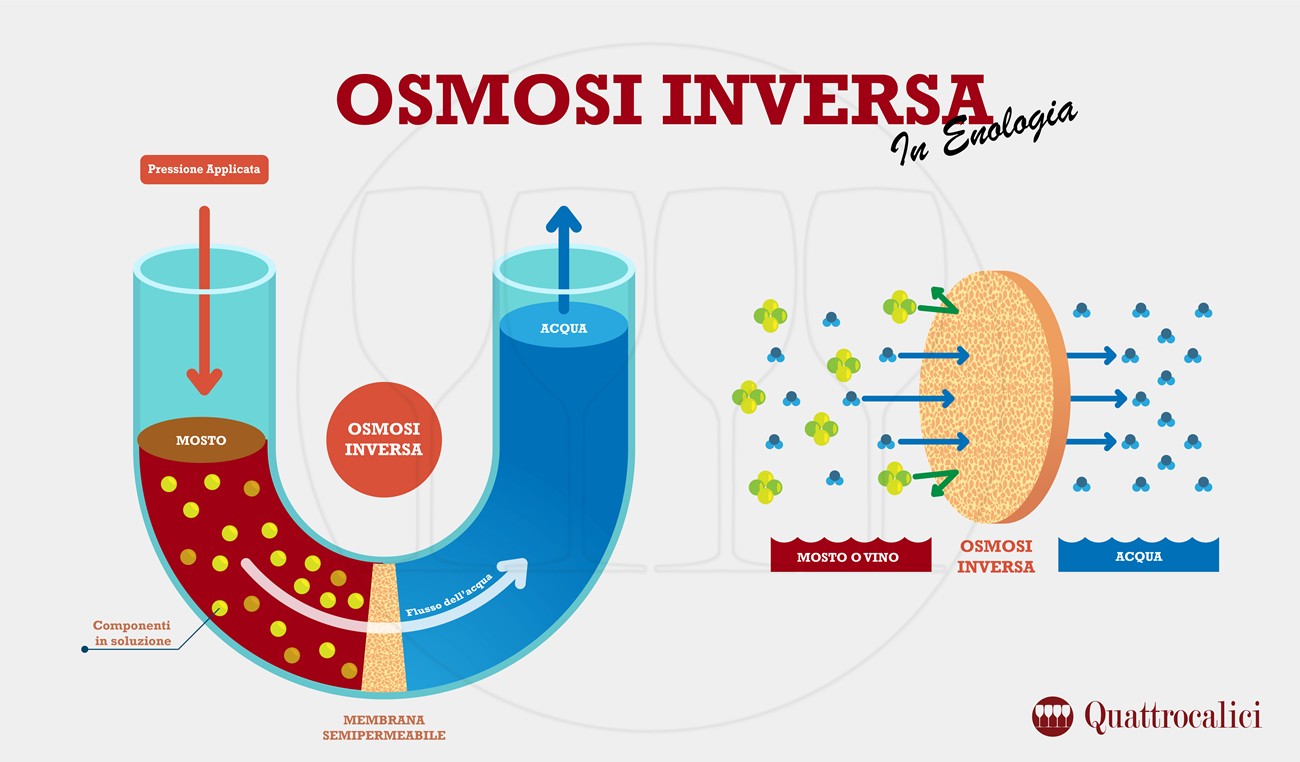 osmosi inversa in enologia
