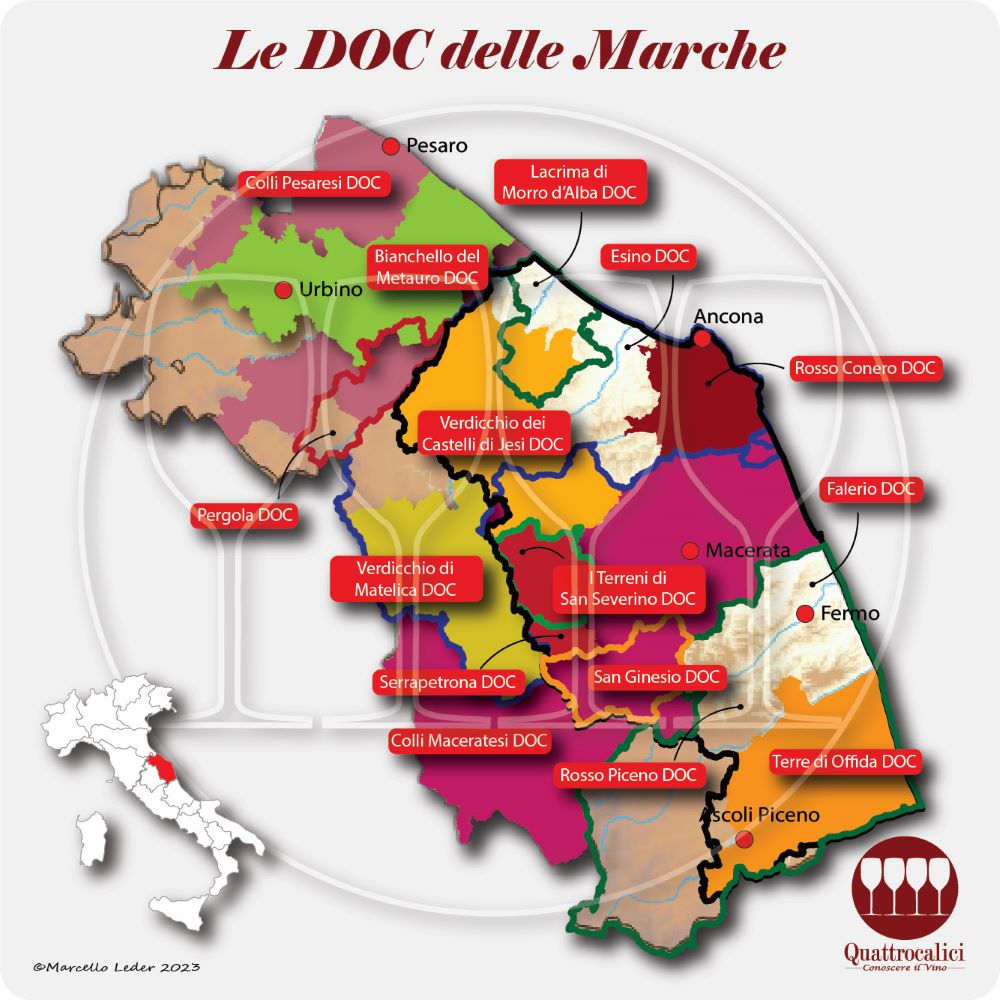 Le DOC delle Marche