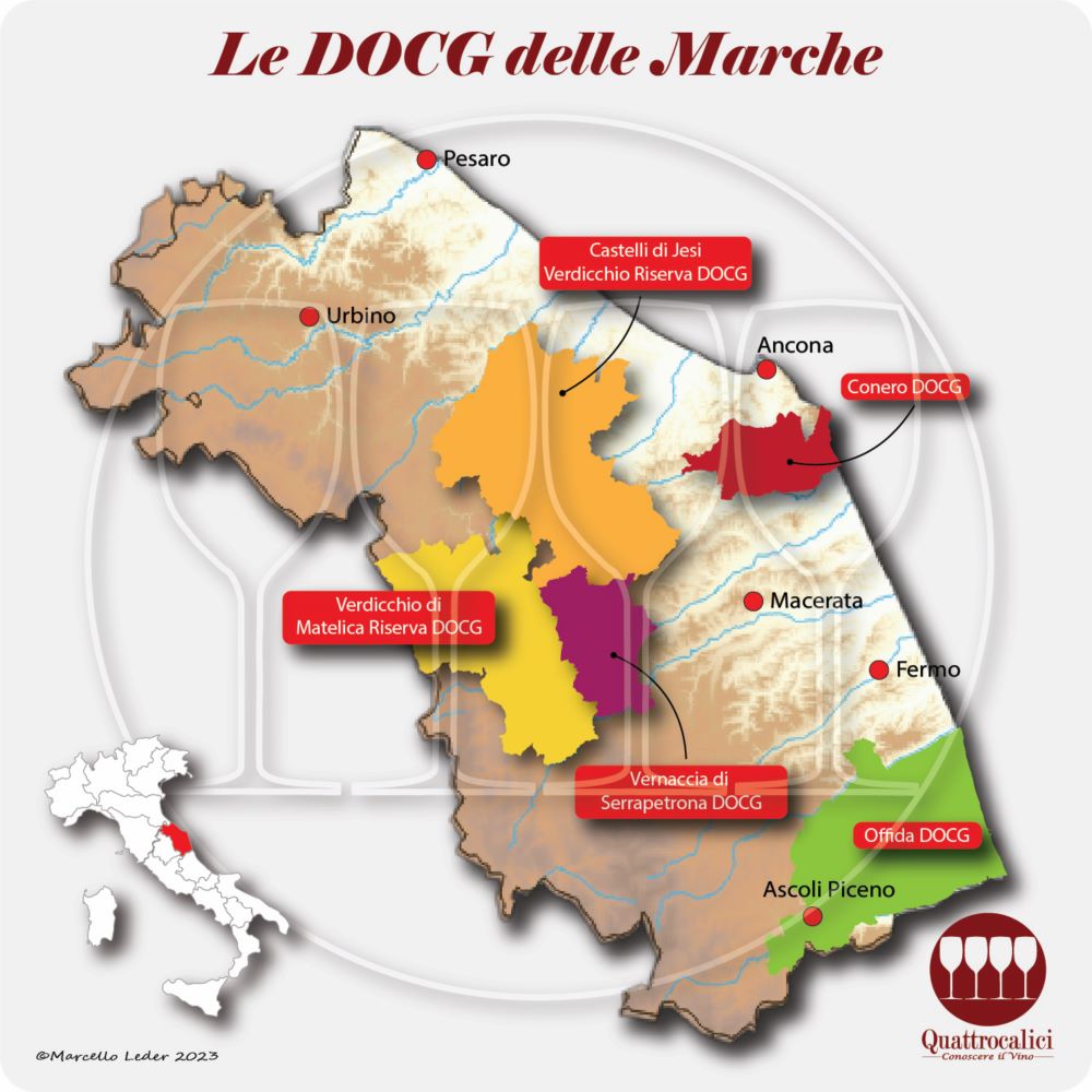 Le DOCG delle Marche