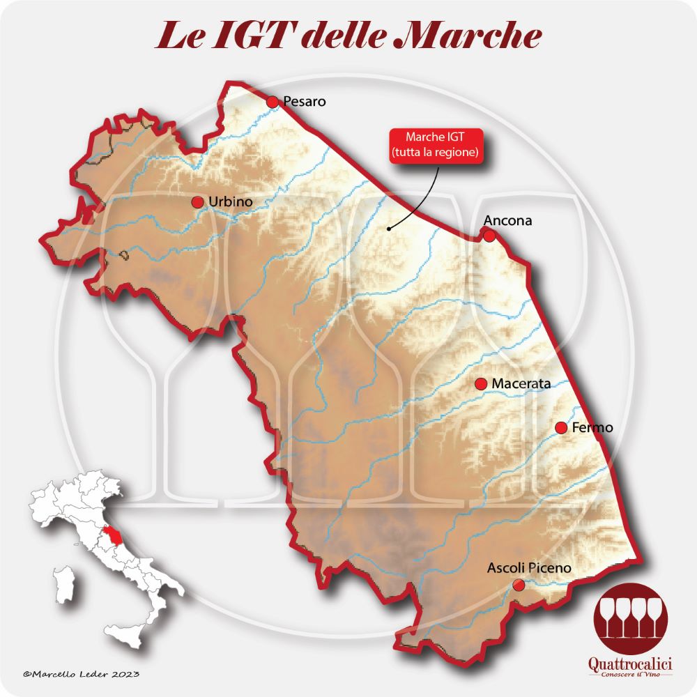 Le IGT delle Marche