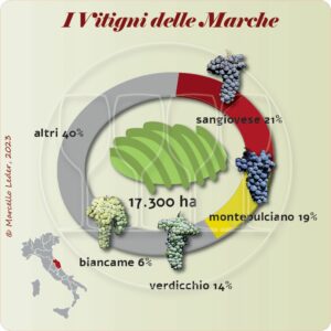 I Vitigni delle Marche