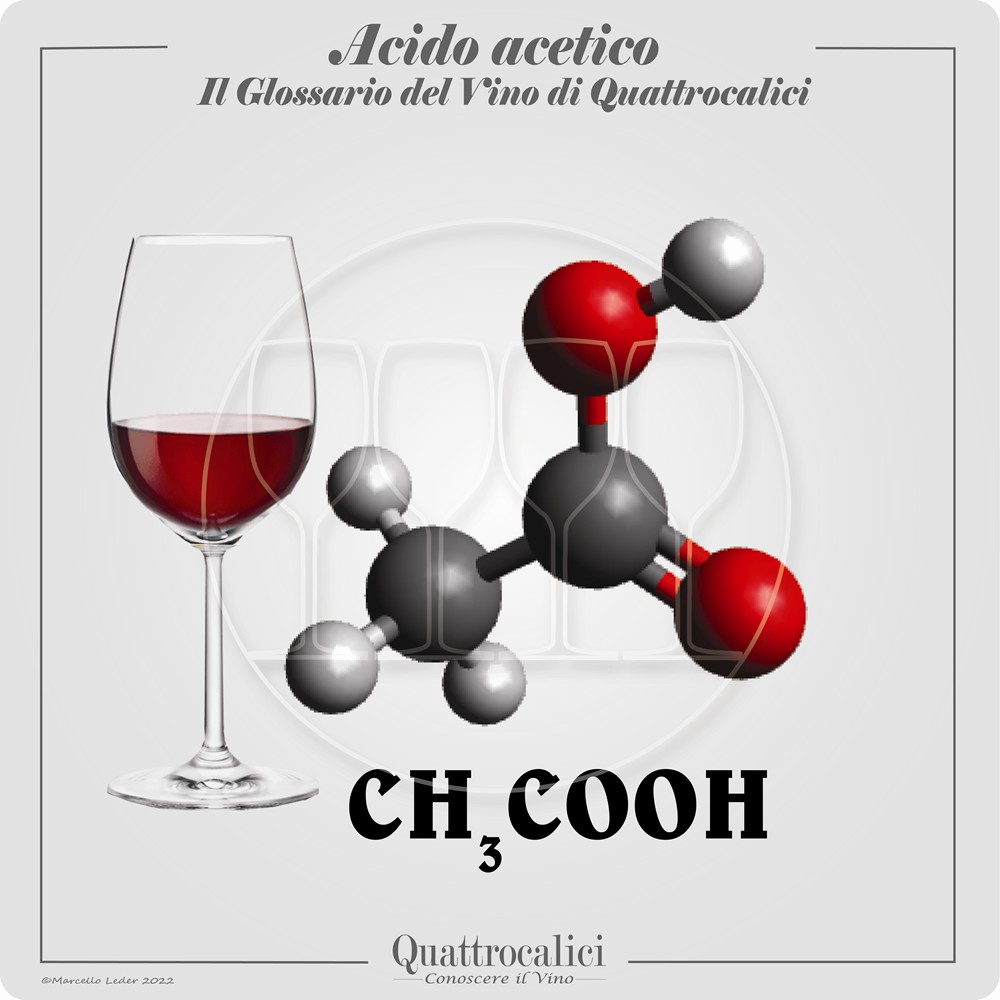 acido acetico nel vino