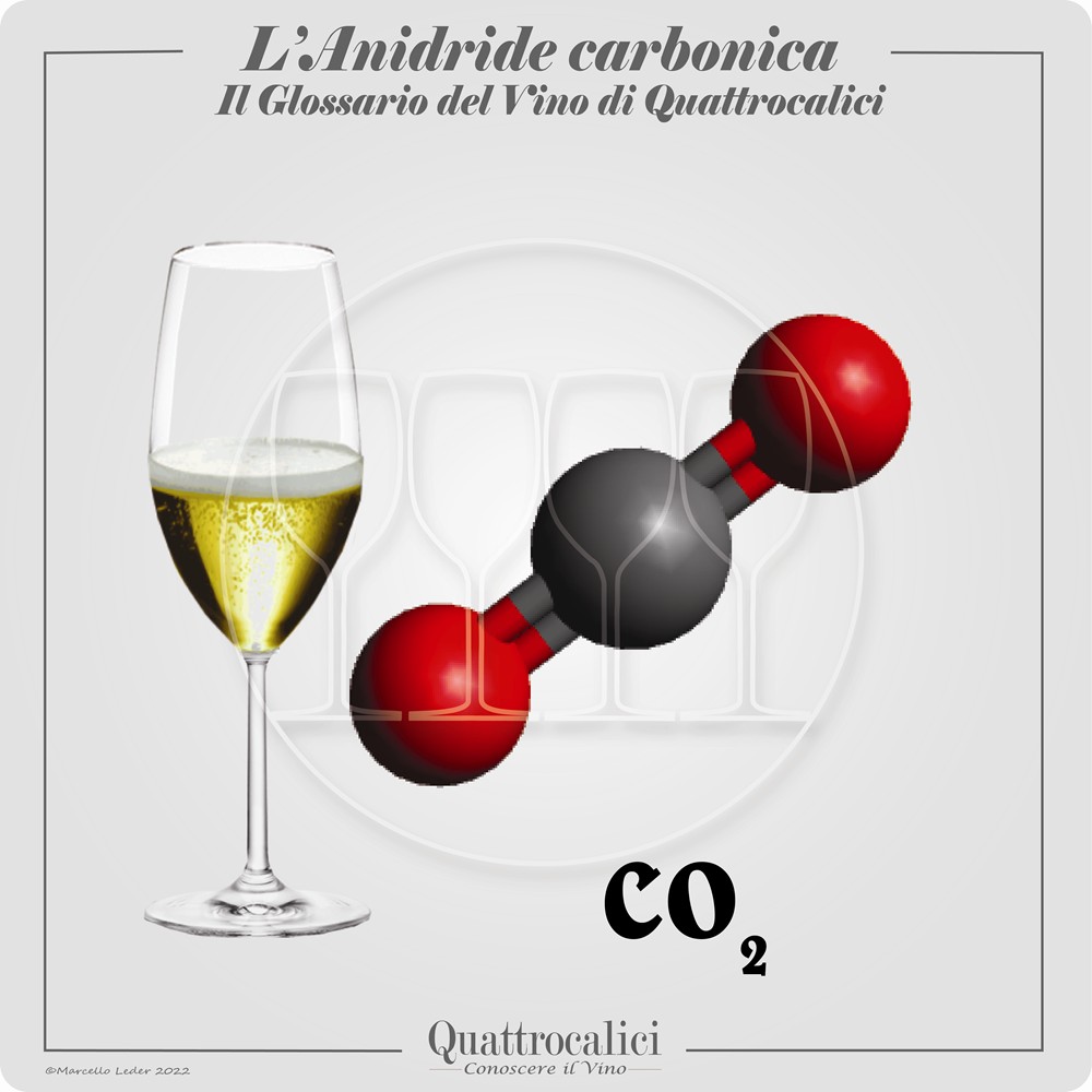 anidride carbonica nel vino