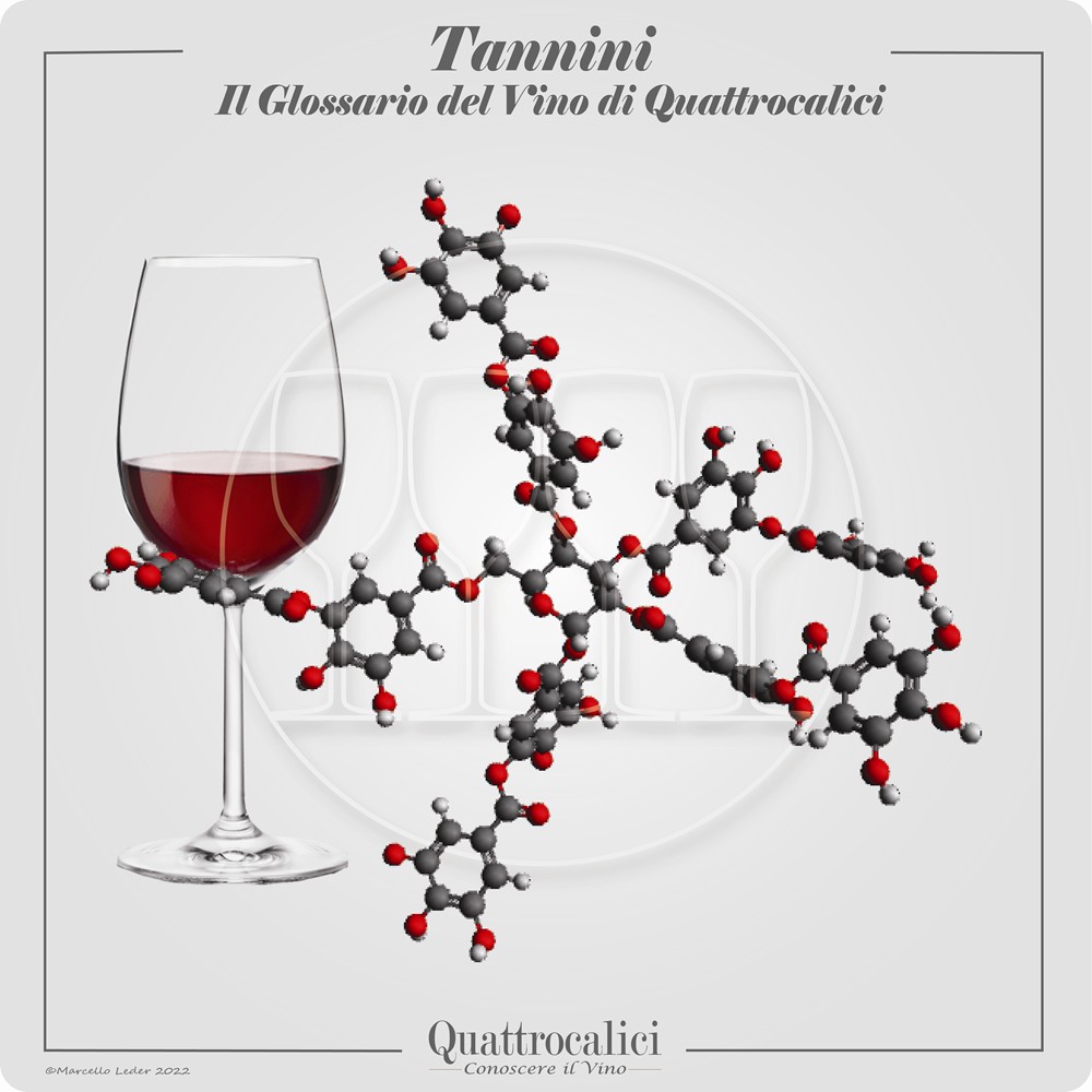 i tannini nel vino