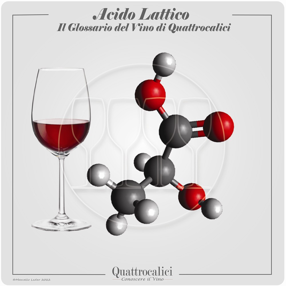 L'Acido lattico nel vino - Quattrocalici