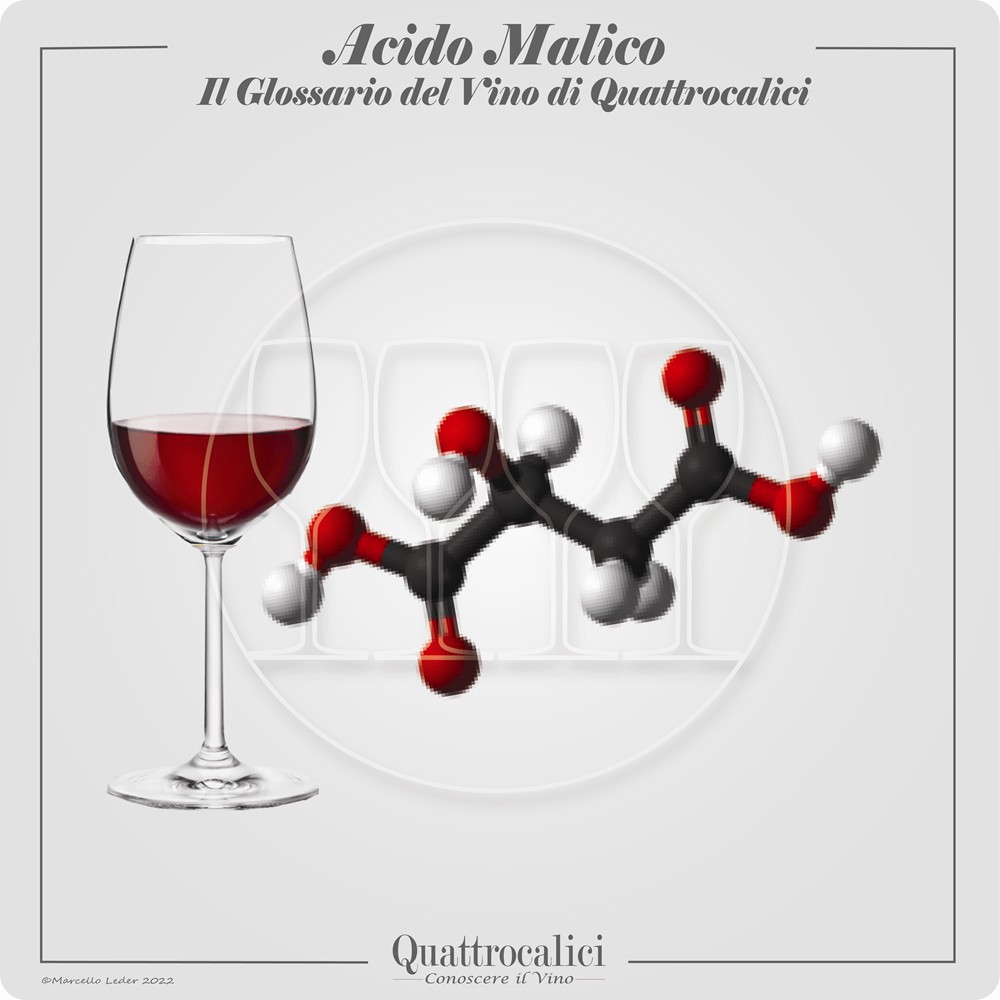 L'Acido Malico nel vino - Quattrocalici