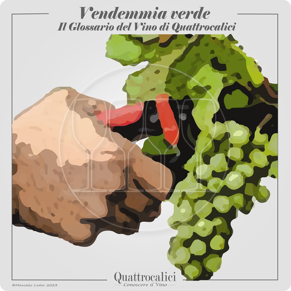 vendemmia verde