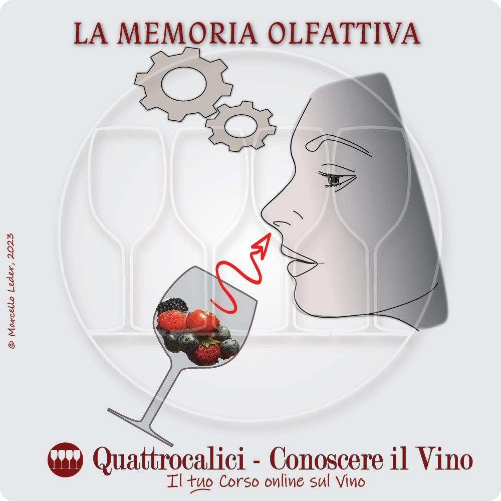 la memoria olfattiva e il vino