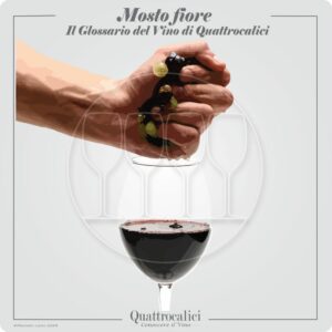 mosto fiore