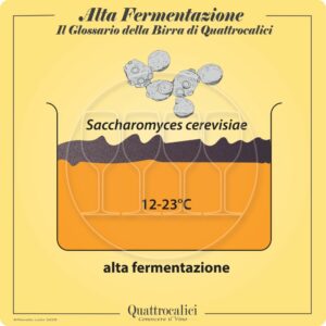 birra alta fermentazione