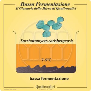 birre bassa fermentazione