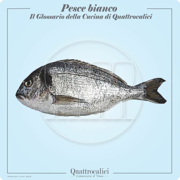 il pesce bianco e il suo abbinamento al vino