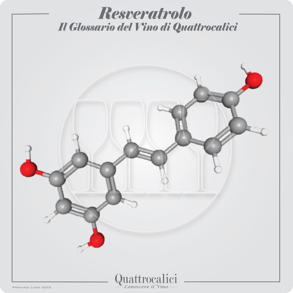 il resveratrolo nel vino