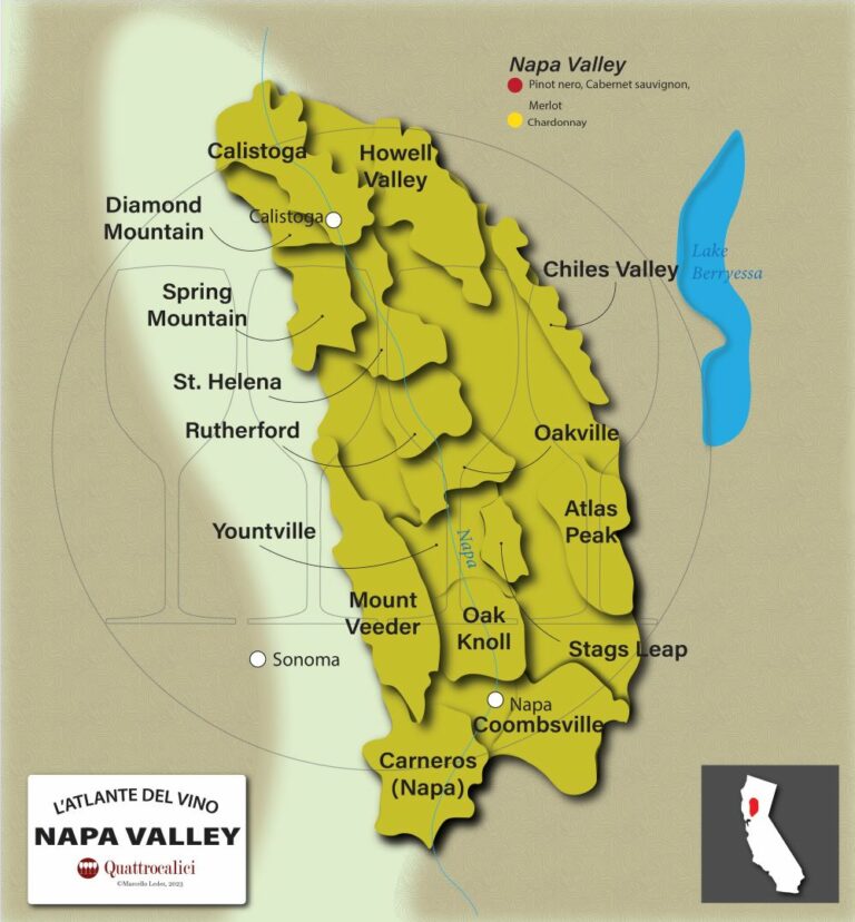 il vino nella napa valley