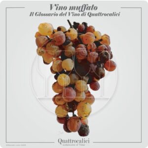 vino muffato