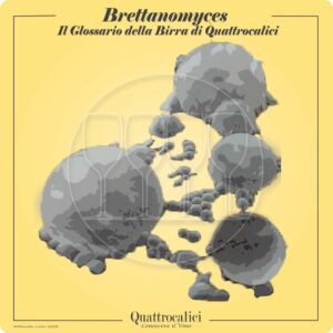 brettanomiceti o brettanomyces