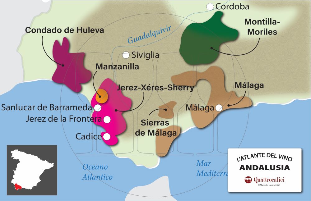 il vino in andalusia