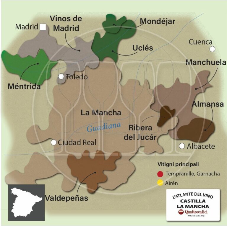 Il Vino a Castilla - La Mancha
