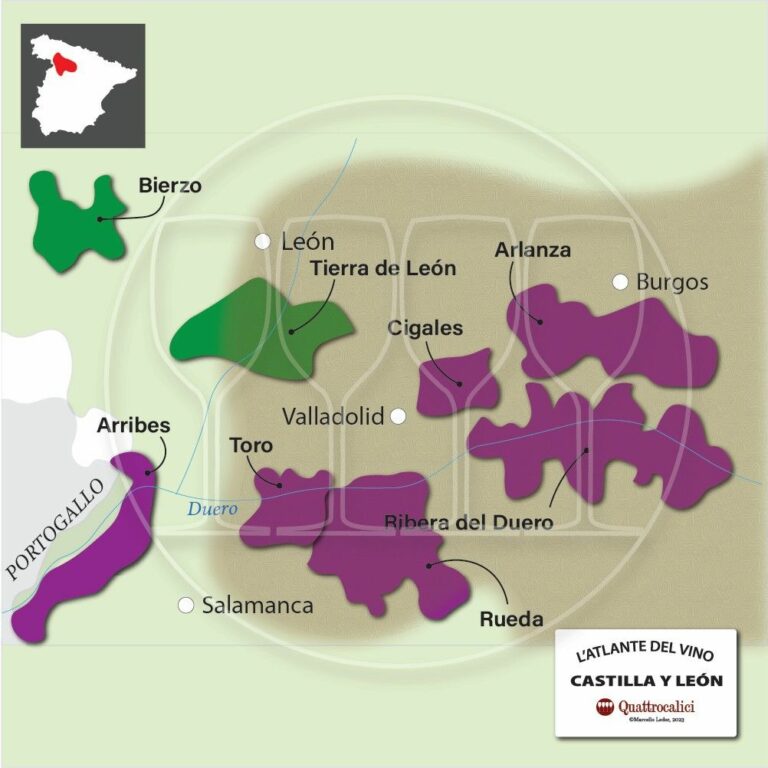 I vini di Castilla e Leon