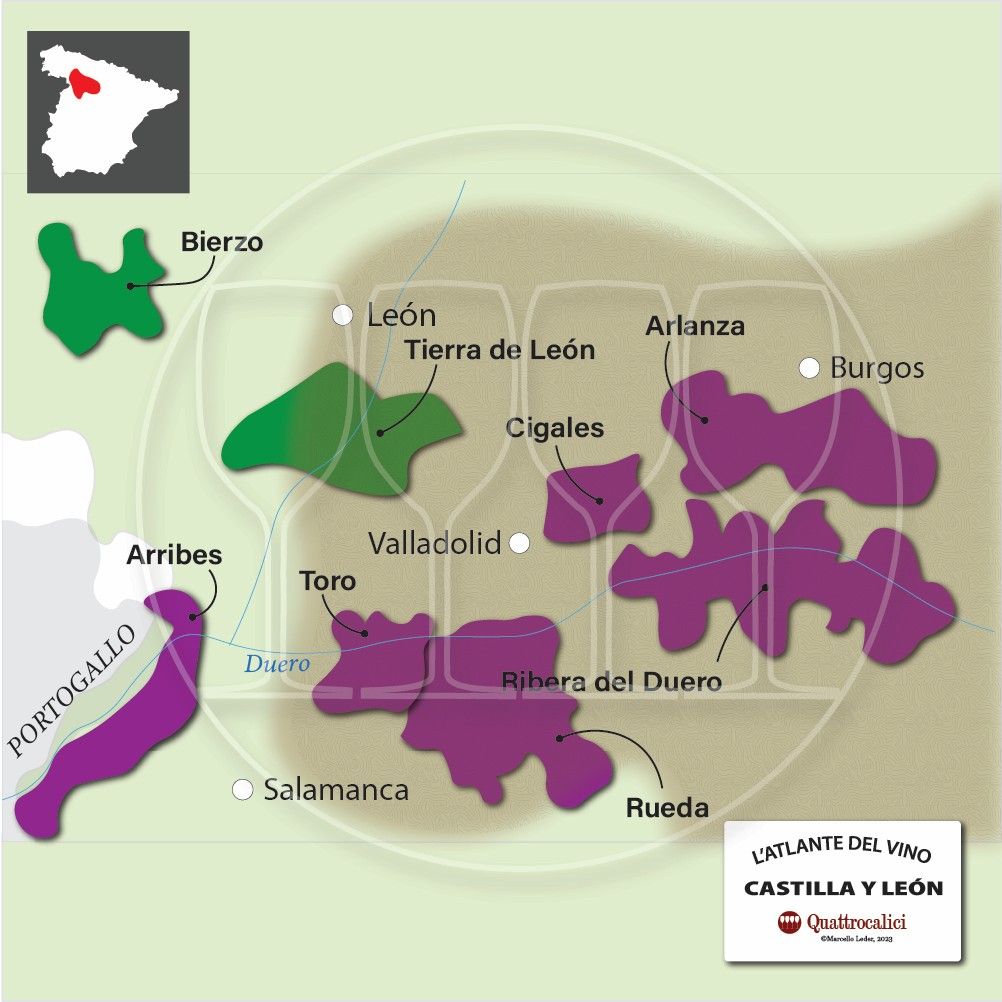I vini di Castilla e Leon