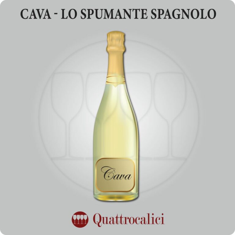 cava - il vino