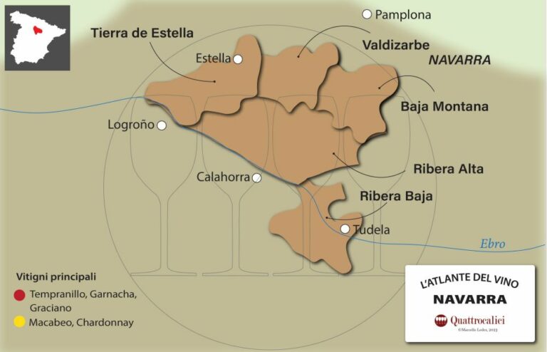 il vino nella navarra