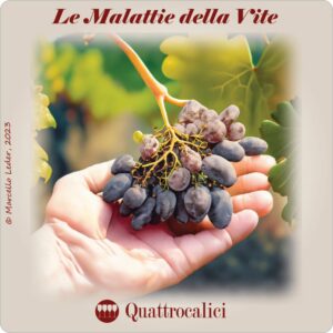 malattie della vite - i quiz del vino