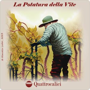 la potatura vite - I quiz del vino di quattrocalici