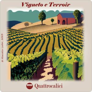 vigneto e terroir i quiz del vino